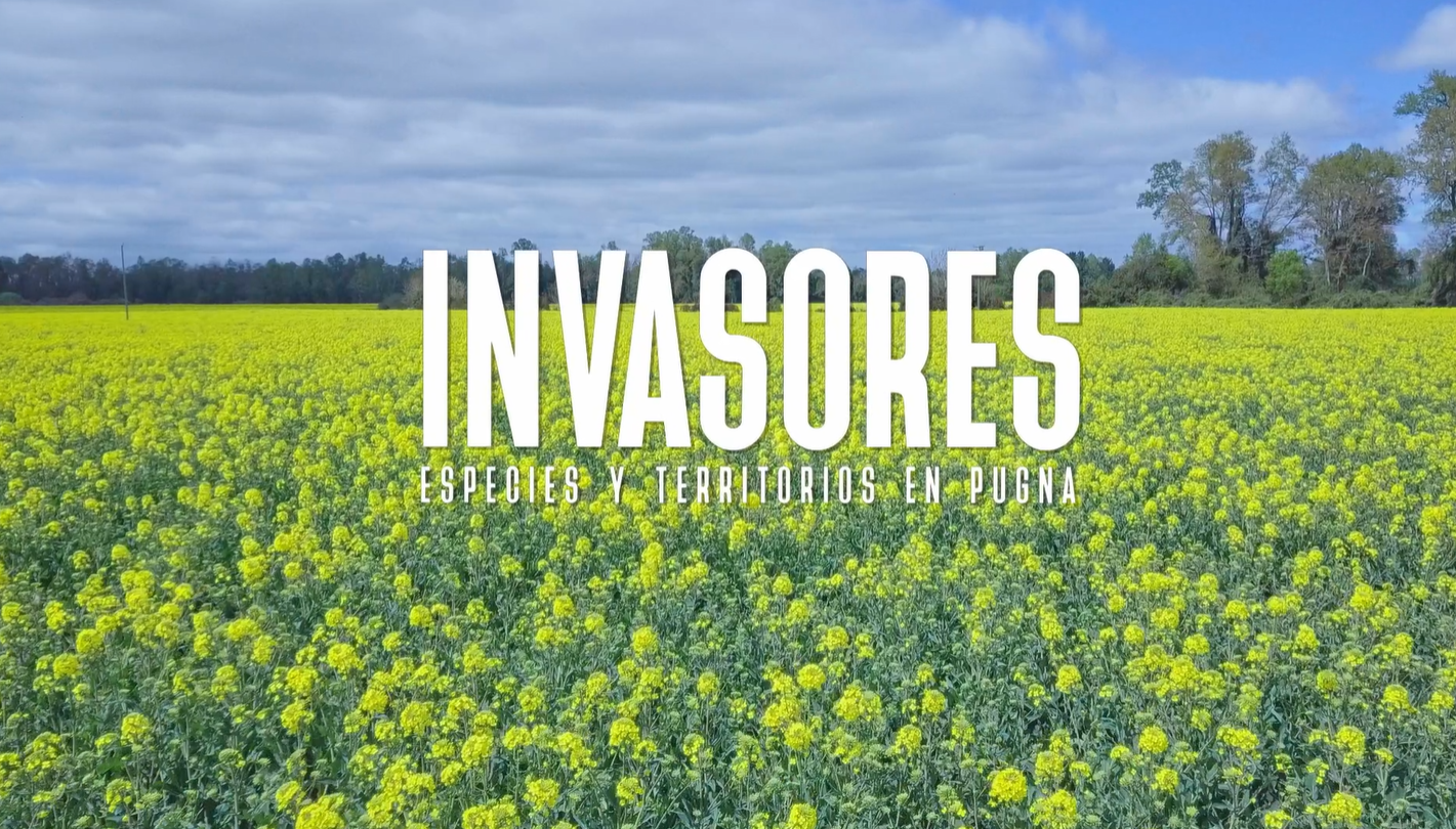 Invasores